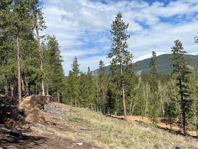 Singer Drive Bailey, CO 80421 - Photo 10 of 18