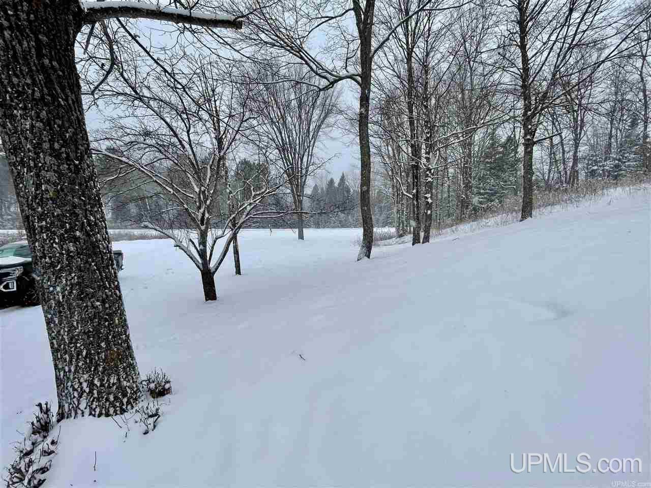 113 Marinello Road Iron River, MI 49935 - Photo 30 of 33