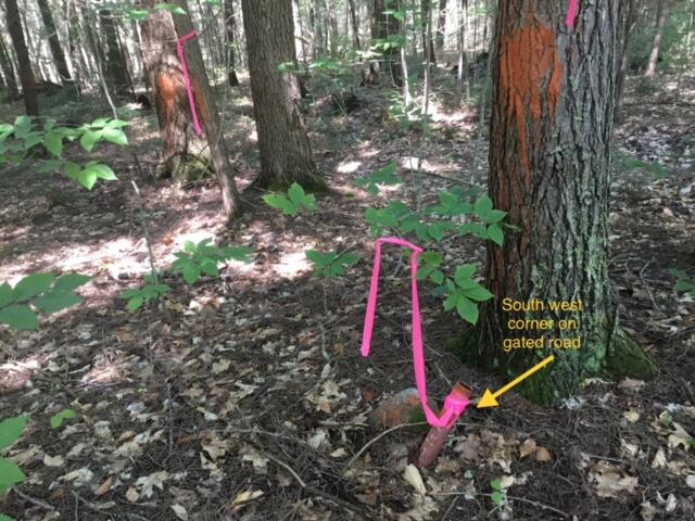 0 Off Mountain Stoneham, ME 04231 - Photo 31 of 32 southwest corner