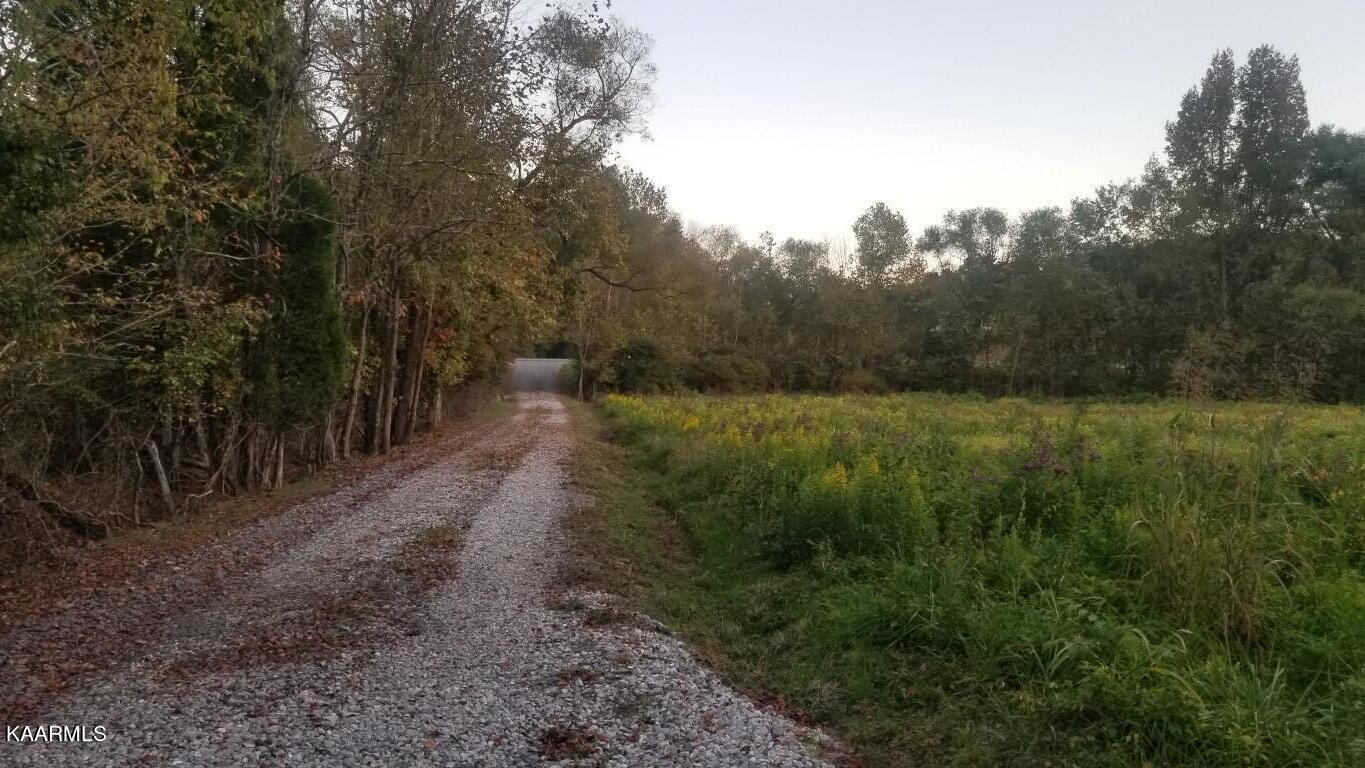 12.9-acres Rhea County Highway Spring City, TN 37381 - Photo 15 of 33 20201020_190650 (Medium)