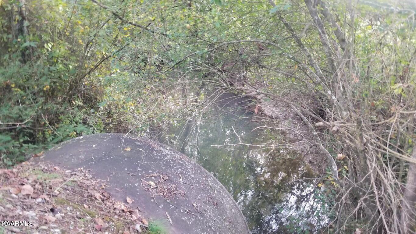 12.9-acres Rhea County Highway Spring City, TN 37381 - Photo 19 of 33 20201020_190725 (Medium)