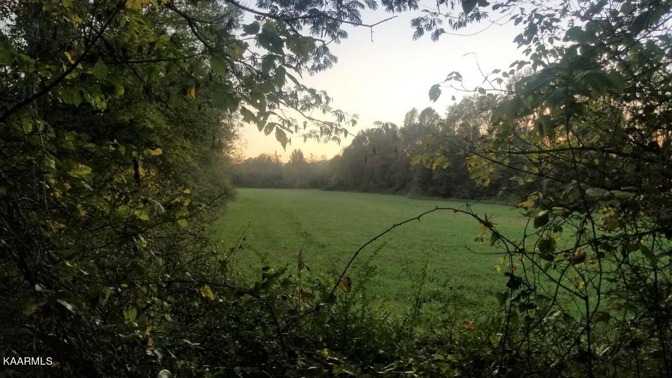 12.9-acres Rhea County Highway Spring City, TN 37381 - Photo 21 of 33 20201020_190742 (Medium)