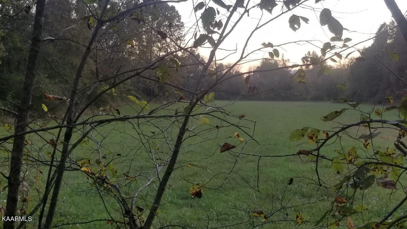 12.9-acres Rhea County Highway Spring City, TN 37381 - Photo 23 of 33 20201020_190806 (Medium)