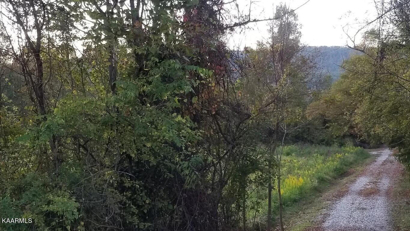 12.9-acres Rhea County Highway Spring City, TN 37381 - Photo 29 of 33 20201020_191113 (Medium)