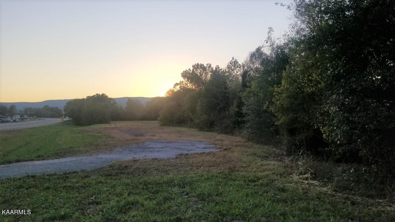 12.9-acres Rhea County Highway Spring City, TN 37381 - Photo 5 of 33 20201020_185922 (Medium)