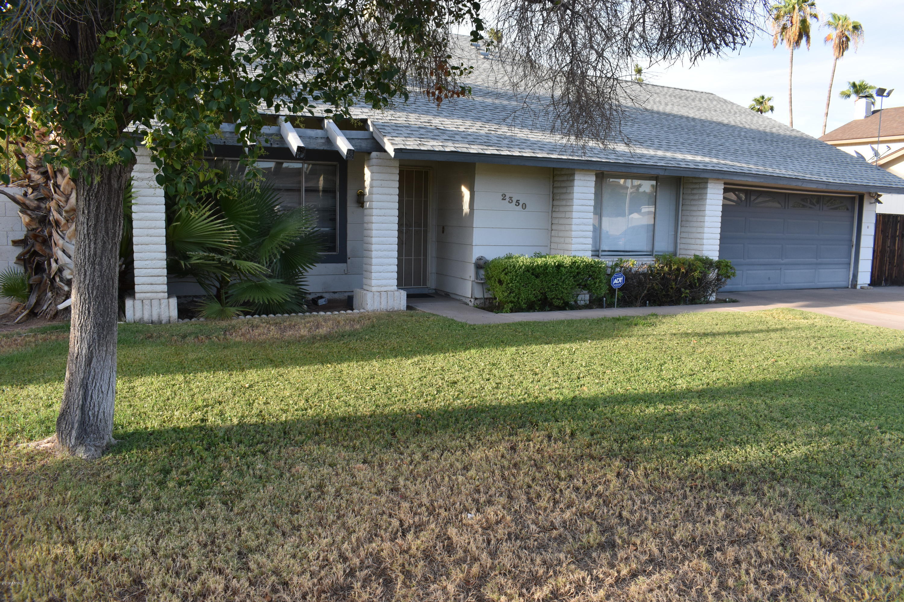 2350 West Kathleen Road Phoenix, AZ 85023 - Photo 25 of 25 GRASS FRONT YARD