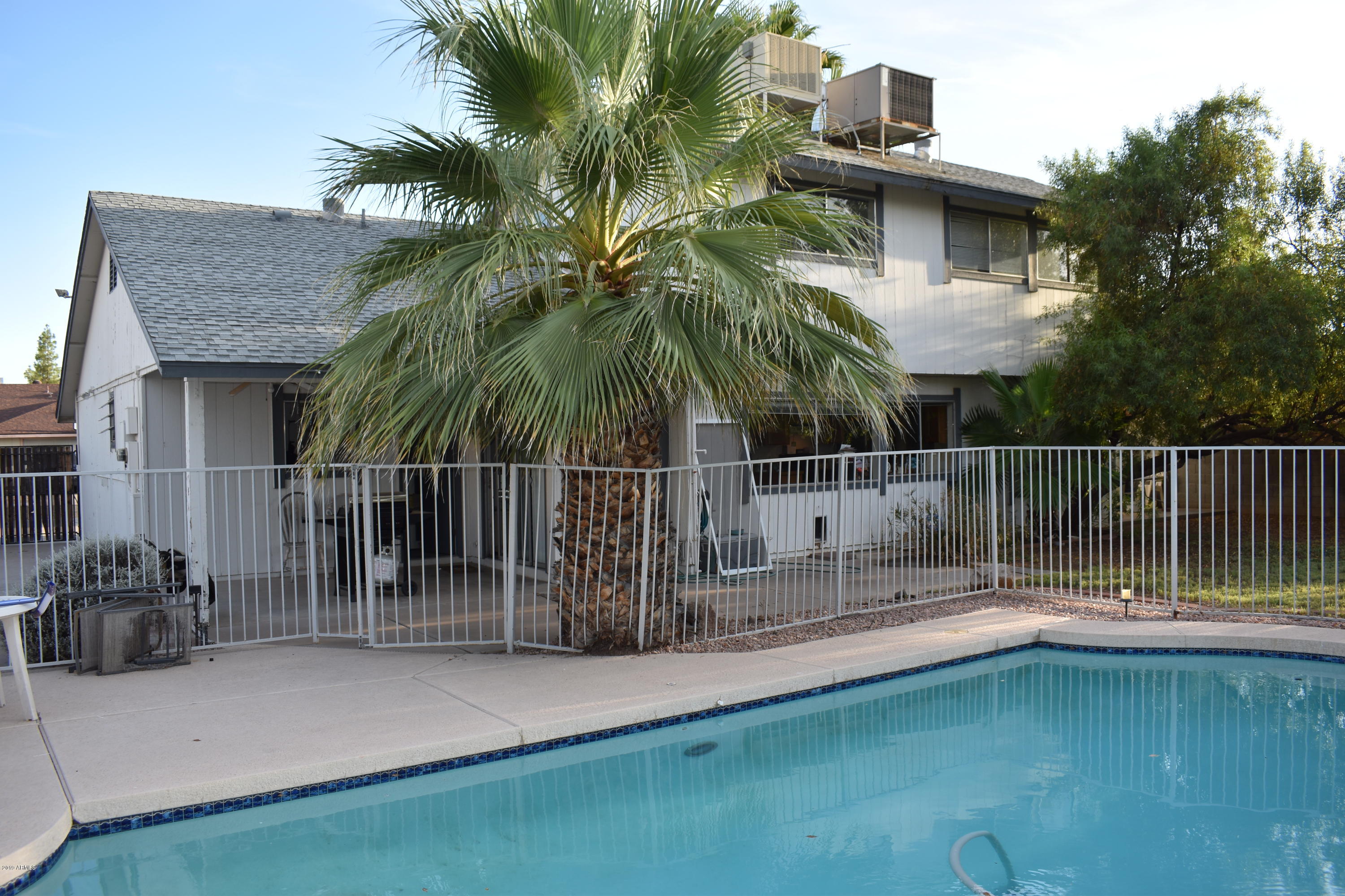 2350 West Kathleen Road Phoenix, AZ 85023 - Photo 7 of 25 POOL AND COVERED PATIO