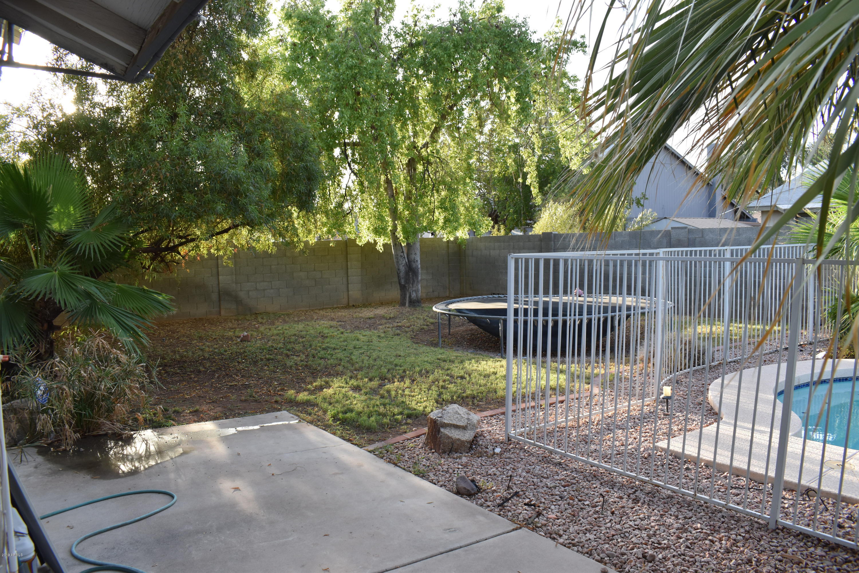 2350 West Kathleen Road Phoenix, AZ 85023 - Photo 10 of 25 HUGE GRASS BACKYARD