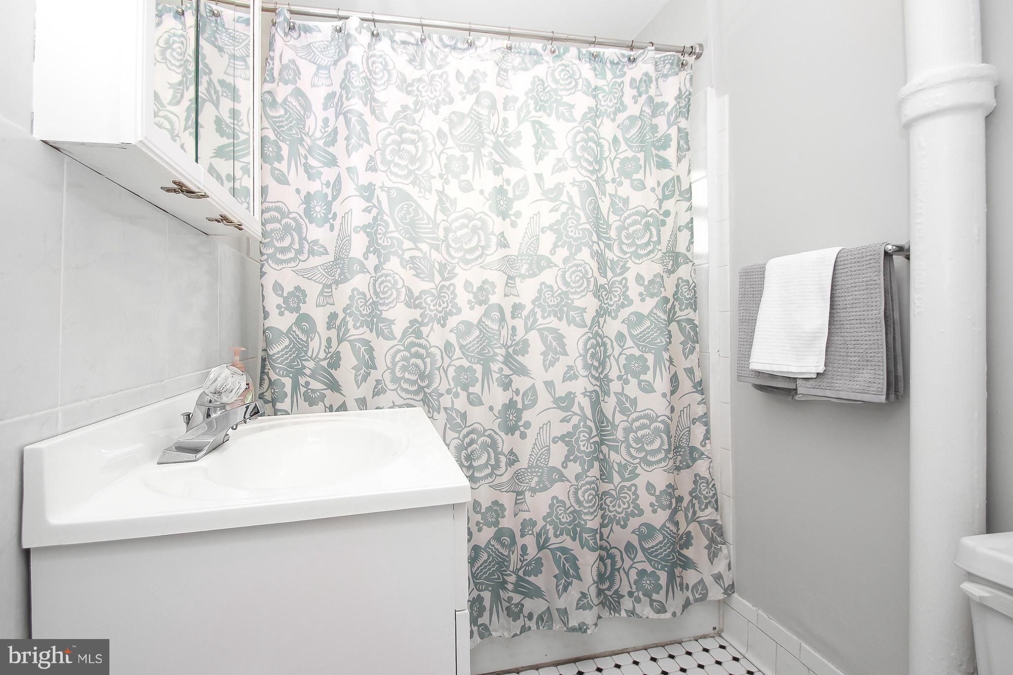 2906 Keswick Road Baltimore, MD 21211 - Photo 22 of 28 Bath