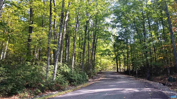 a view of backyard with green space