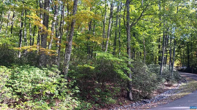 a view of a yard with a tree