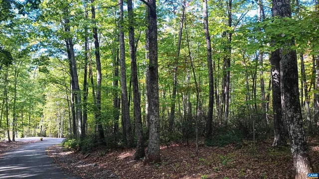 a view of outdoor space and green space