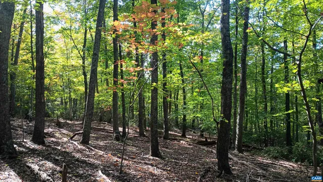 a view of outdoor space and trees