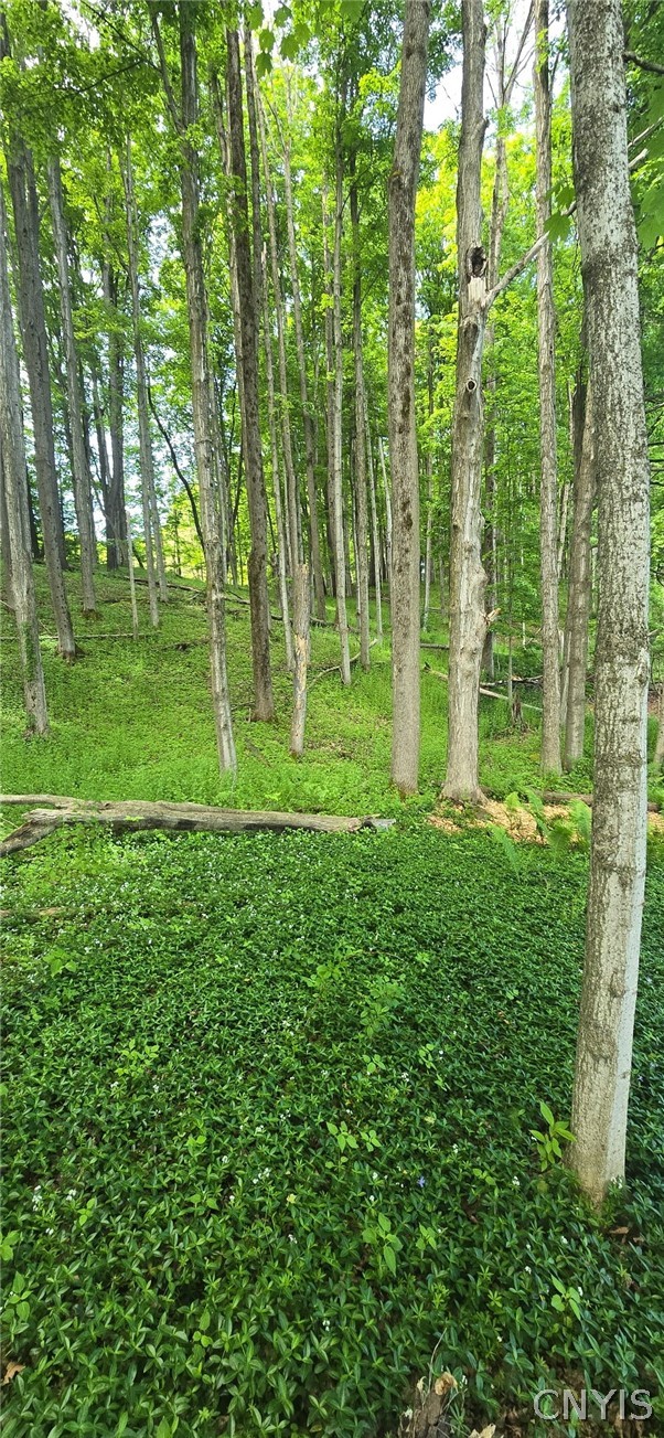 Saunders Road Clinton, NY 13323 - Photo 6 of 11