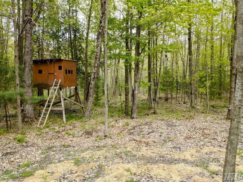 1340 Birch Ridge Road Gladwin, MI 48624 - Photo 8 of 38