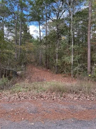a view of a yard with trees