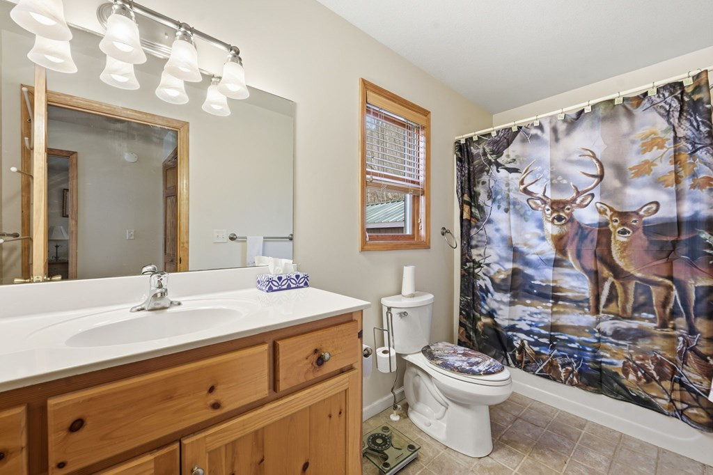 729 Canterbury Road Murphy, NC 28906 - Photo 10 of 49