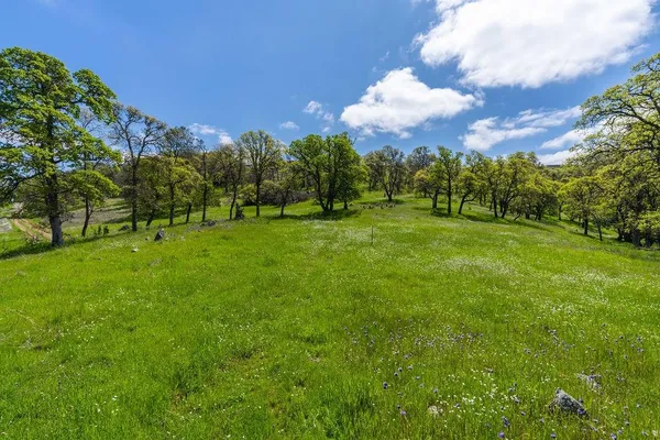 a view of a green field