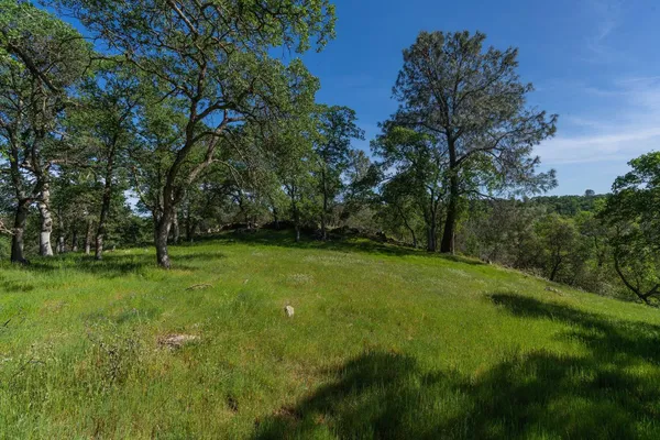 a view of yard with green space
