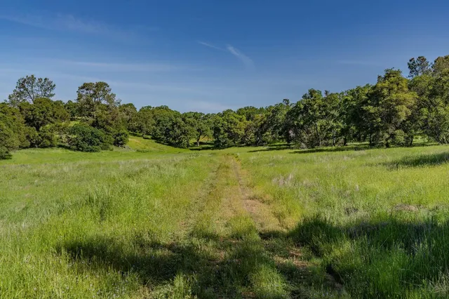 a view of a lake with a yard