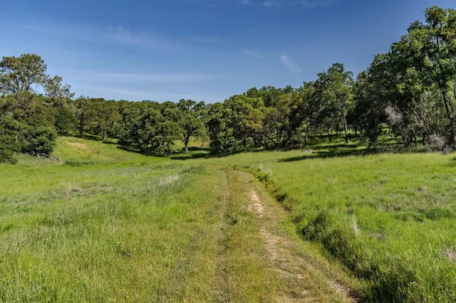 a view of a yard with a house in the background