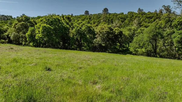 a view of a field of grass and trees