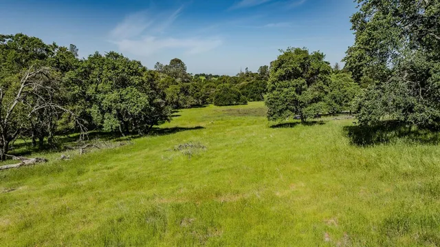 a view of yard with green space