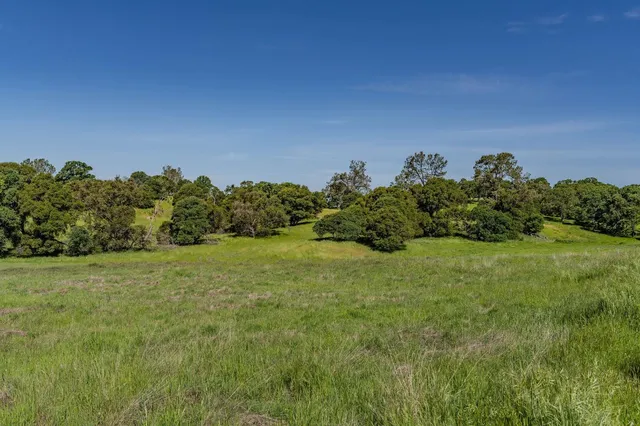 a yard with lots of green space