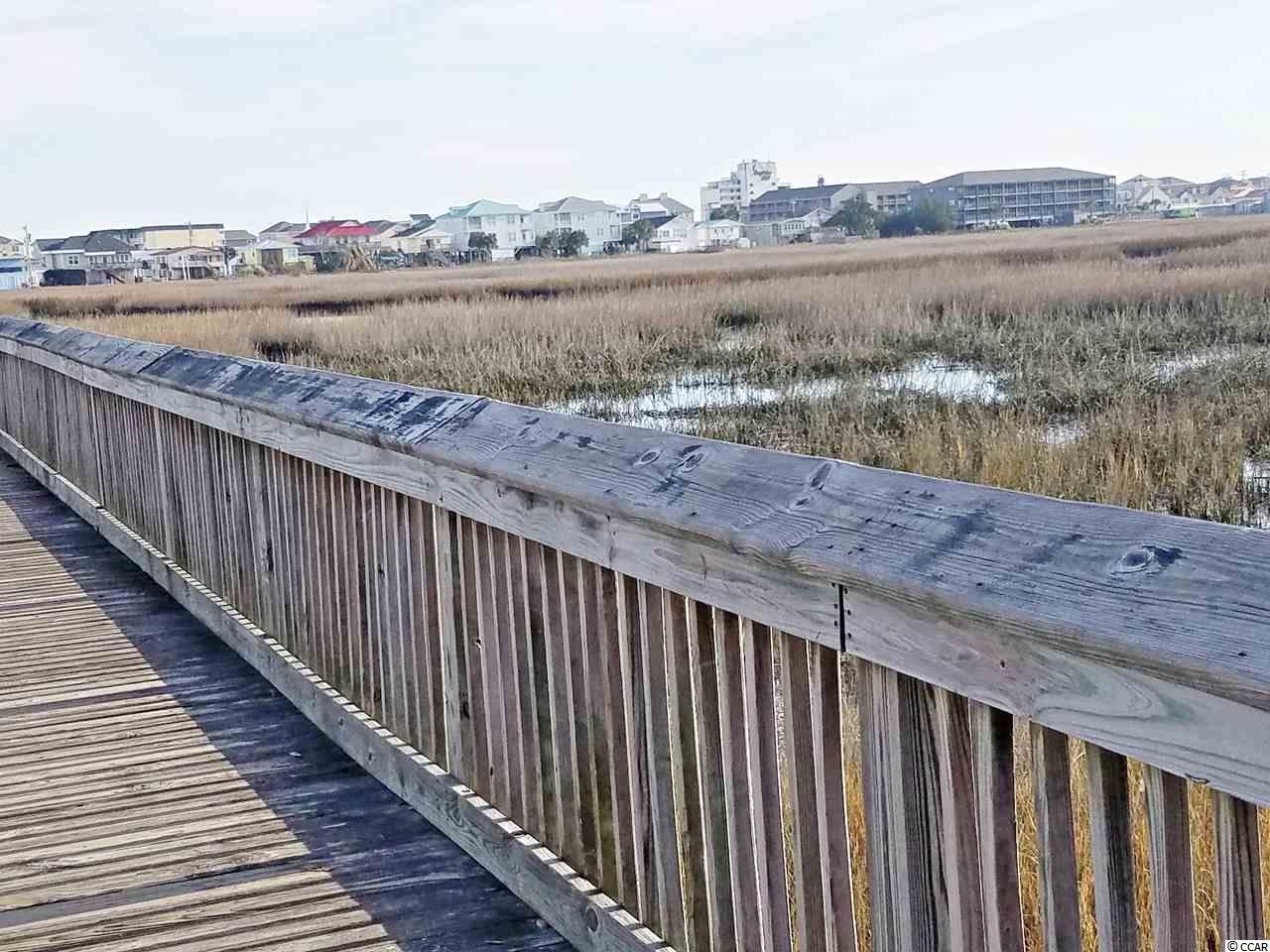 334 Pine Avenue Murrells Inlet, SC 29576 - Photo 10 of 11 Gallery Image 10