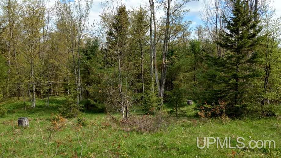 Tbd Boundary Road Chassell, MI 49931 - Photo 7 of 15