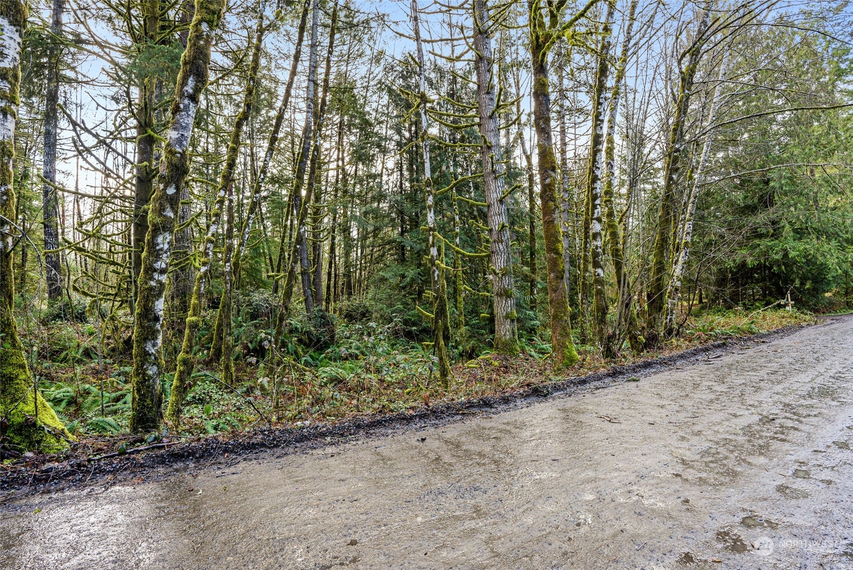 427 Rivendell Road Grapeview, WA 98546 - Photo 3 of 7 Gallery Image 3