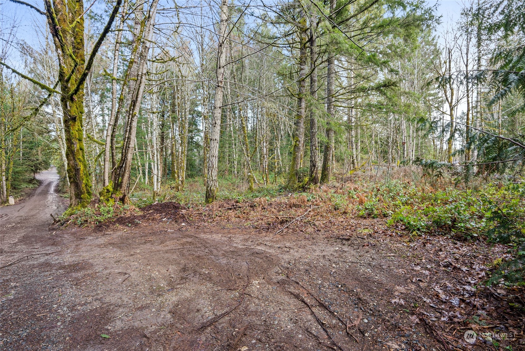 427 Rivendell Road Grapeview, WA 98546 - Photo 5 of 7 Gallery Image 5