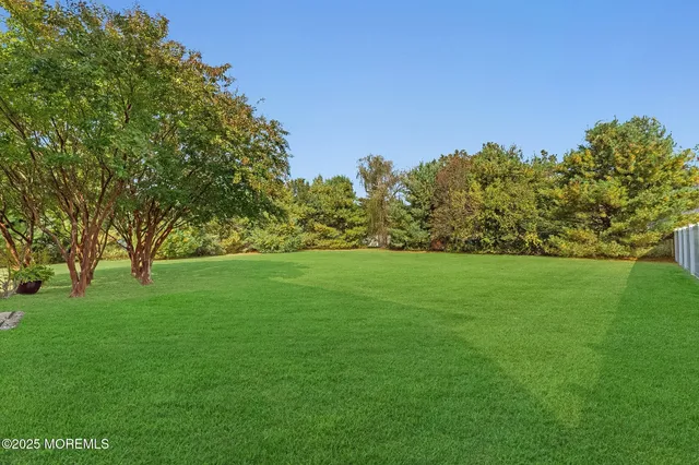 a view of yard with green space