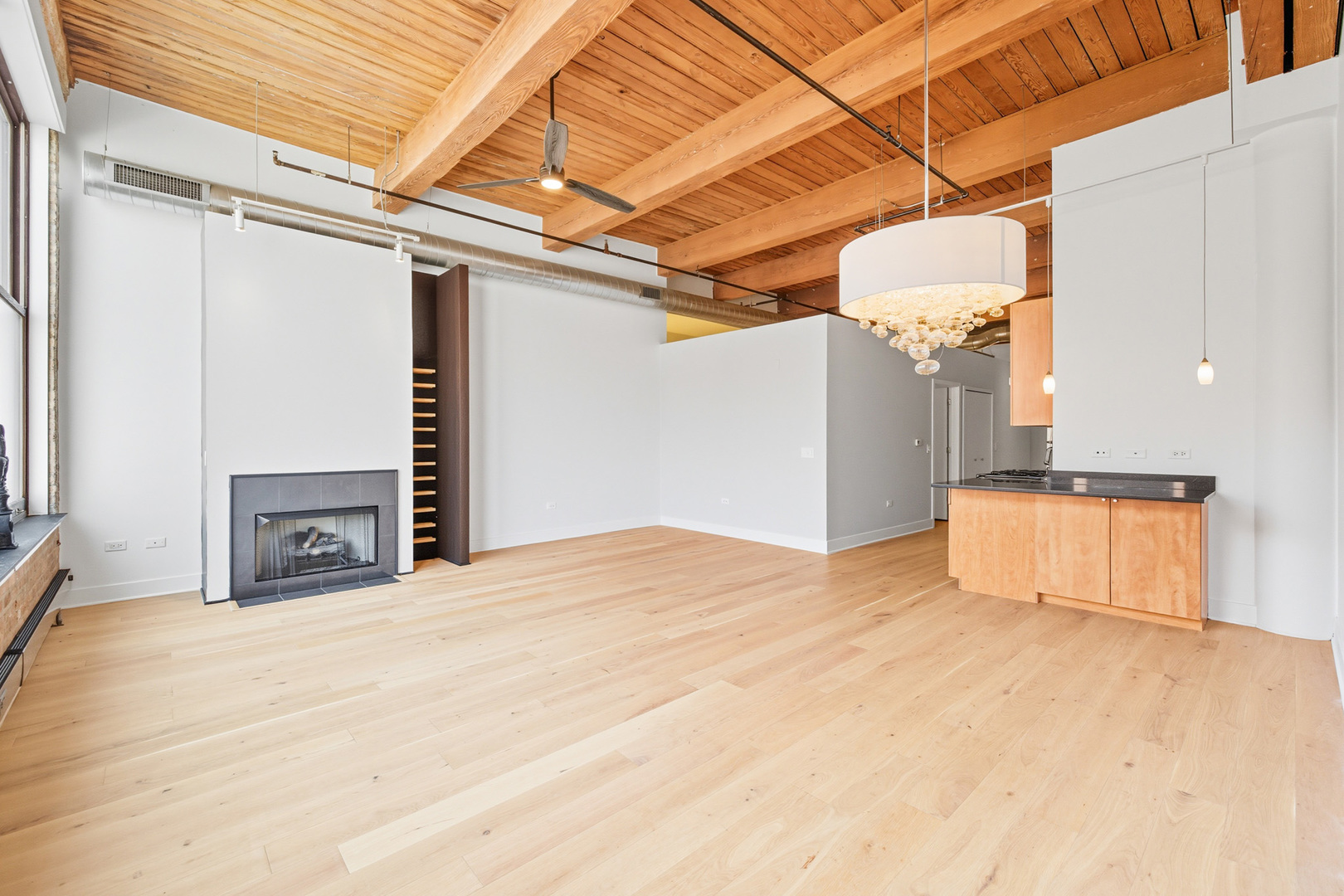 2303 South Michigan Avenue, Unit 405 Chicago, IL 60616 - Photo 2 of 16