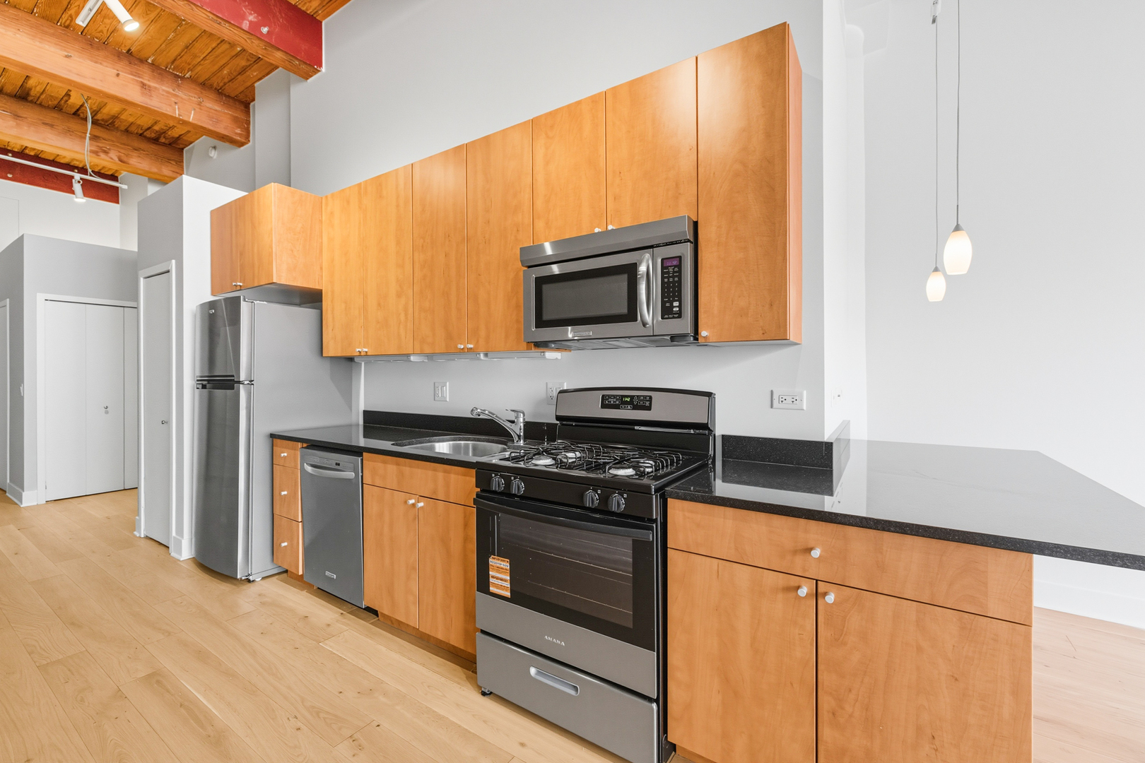 2303 South Michigan Avenue, Unit 405 Chicago, IL 60616 - Photo 7 of 16