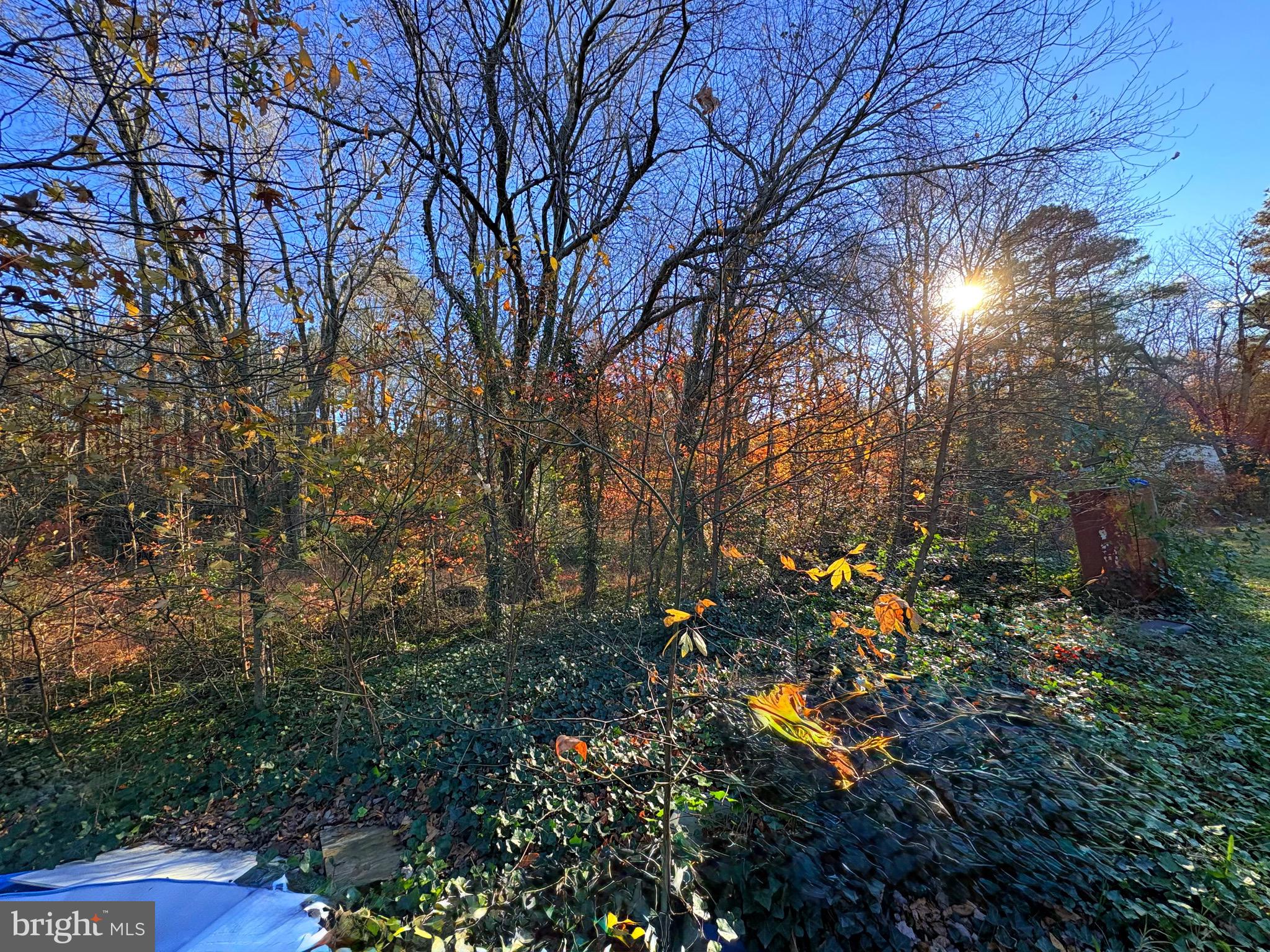 8381 Hurleys Neck Road Mardela Springs, MD 21837 - Photo 15 of 25