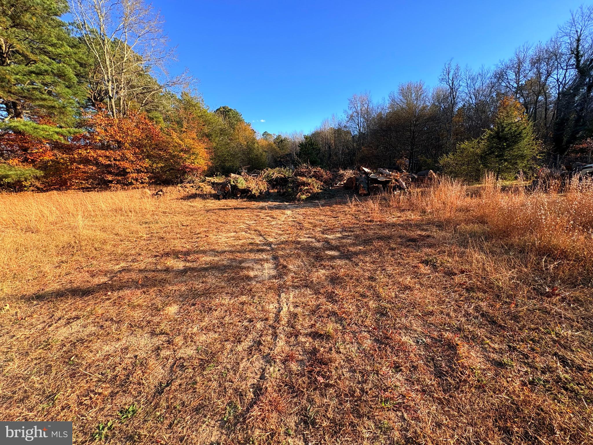 8381 Hurleys Neck Road Mardela Springs, MD 21837 - Photo 20 of 25