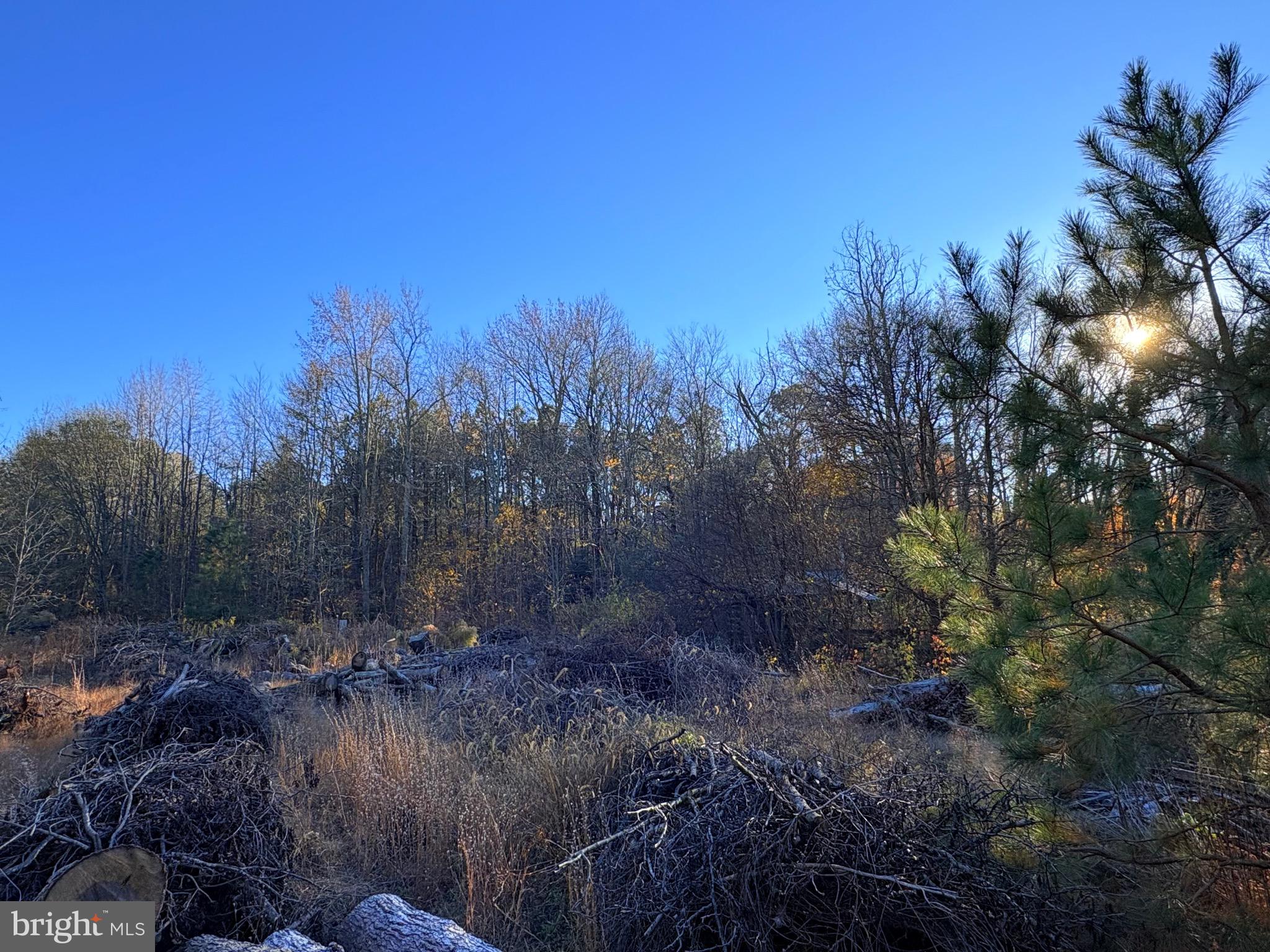 8381 Hurleys Neck Road Mardela Springs, MD 21837 - Photo 25 of 25