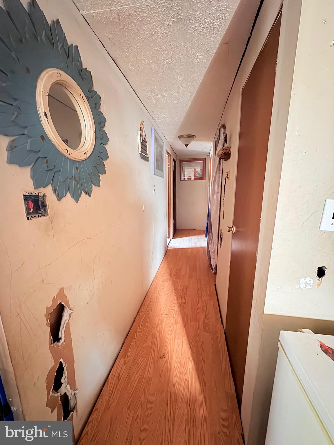 8381 Hurleys Neck Road Mardela Springs, MD 21837 - Photo 6 of 25