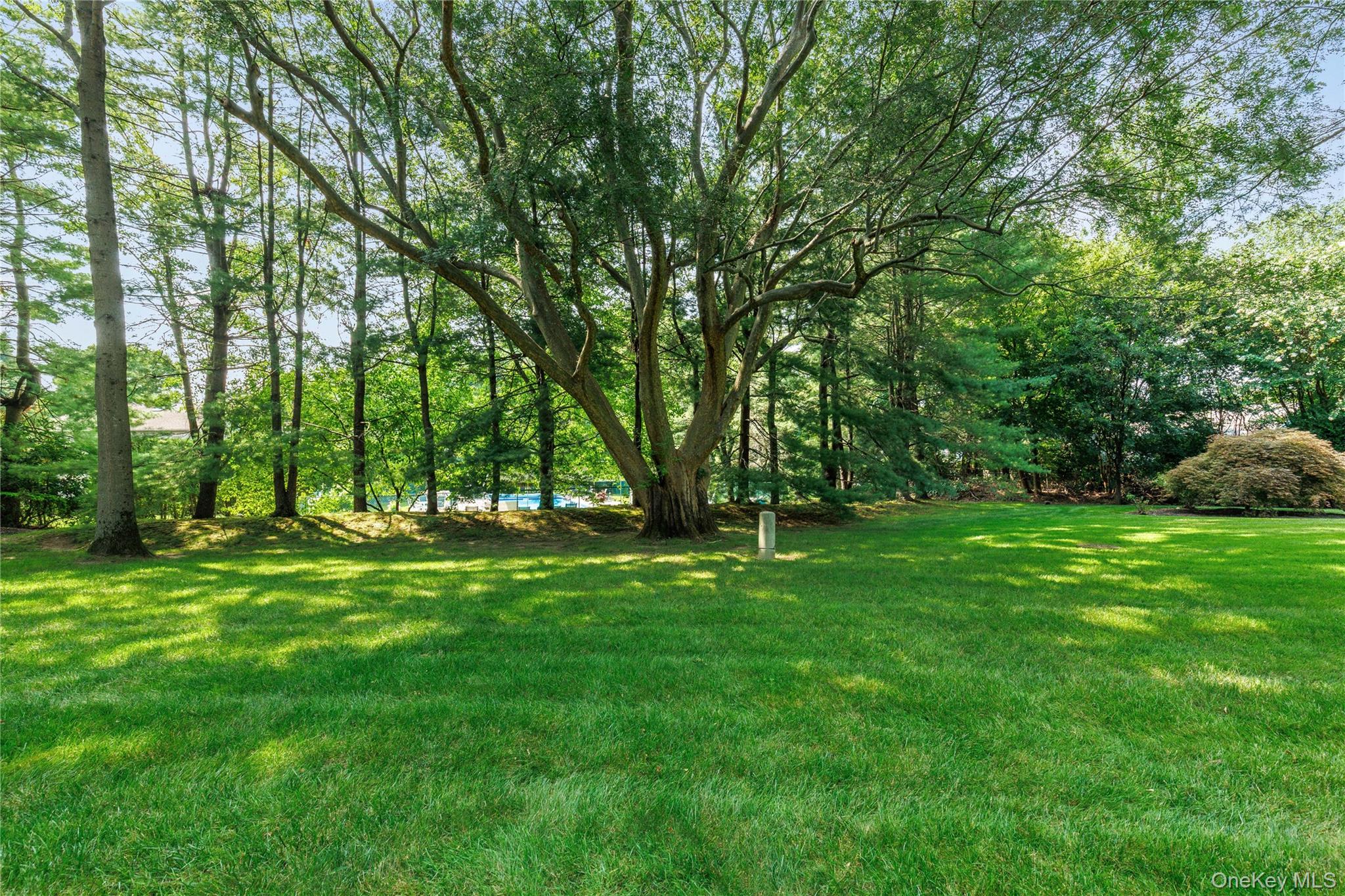 64 Talcott Road Rye Brook, NY 10573 - Photo 31 of 34 Gallery Image 31
