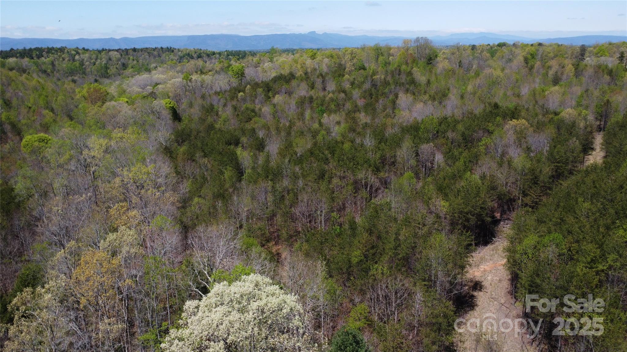 0 Snowhill Church Road Morganton, NC 28655 - Photo 14 of 40