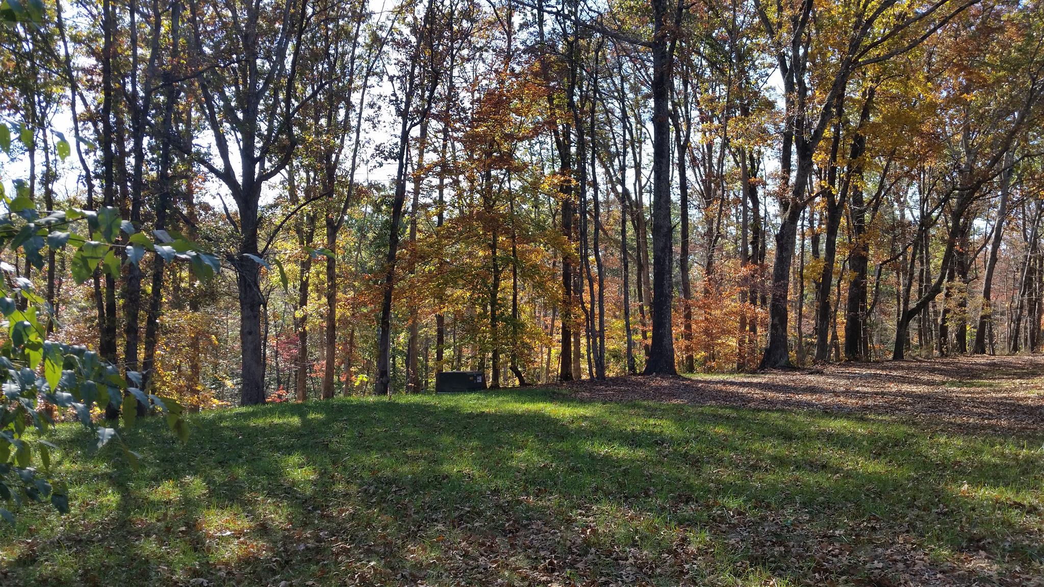 1 Rose Ridge Fairview, TN 37062 - Photo 1 of 8 a view of outdoor space with garden and trees