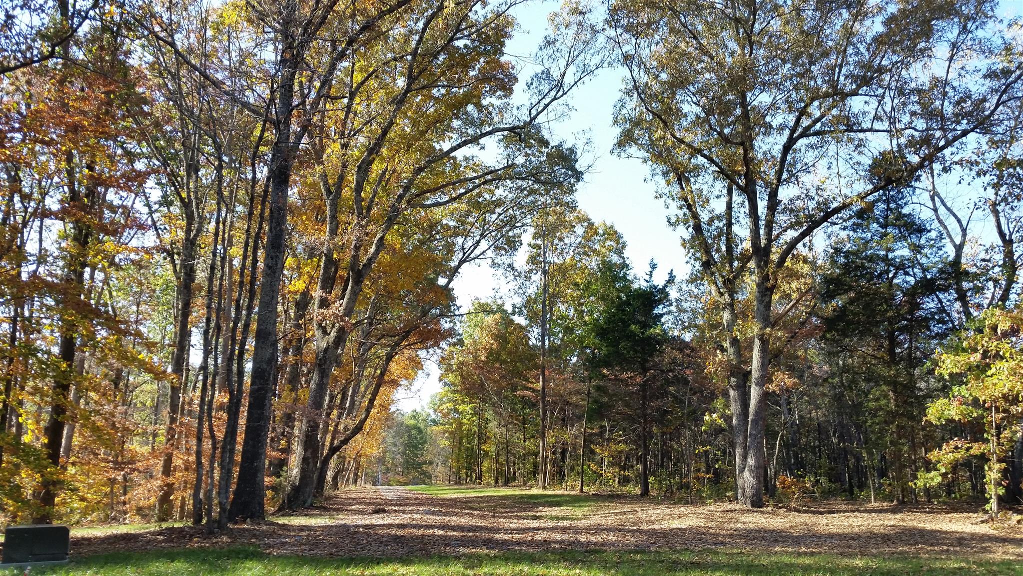 1 Rose Ridge Fairview, TN 37062 - Photo 3 of 8 a view of a yard with large trees