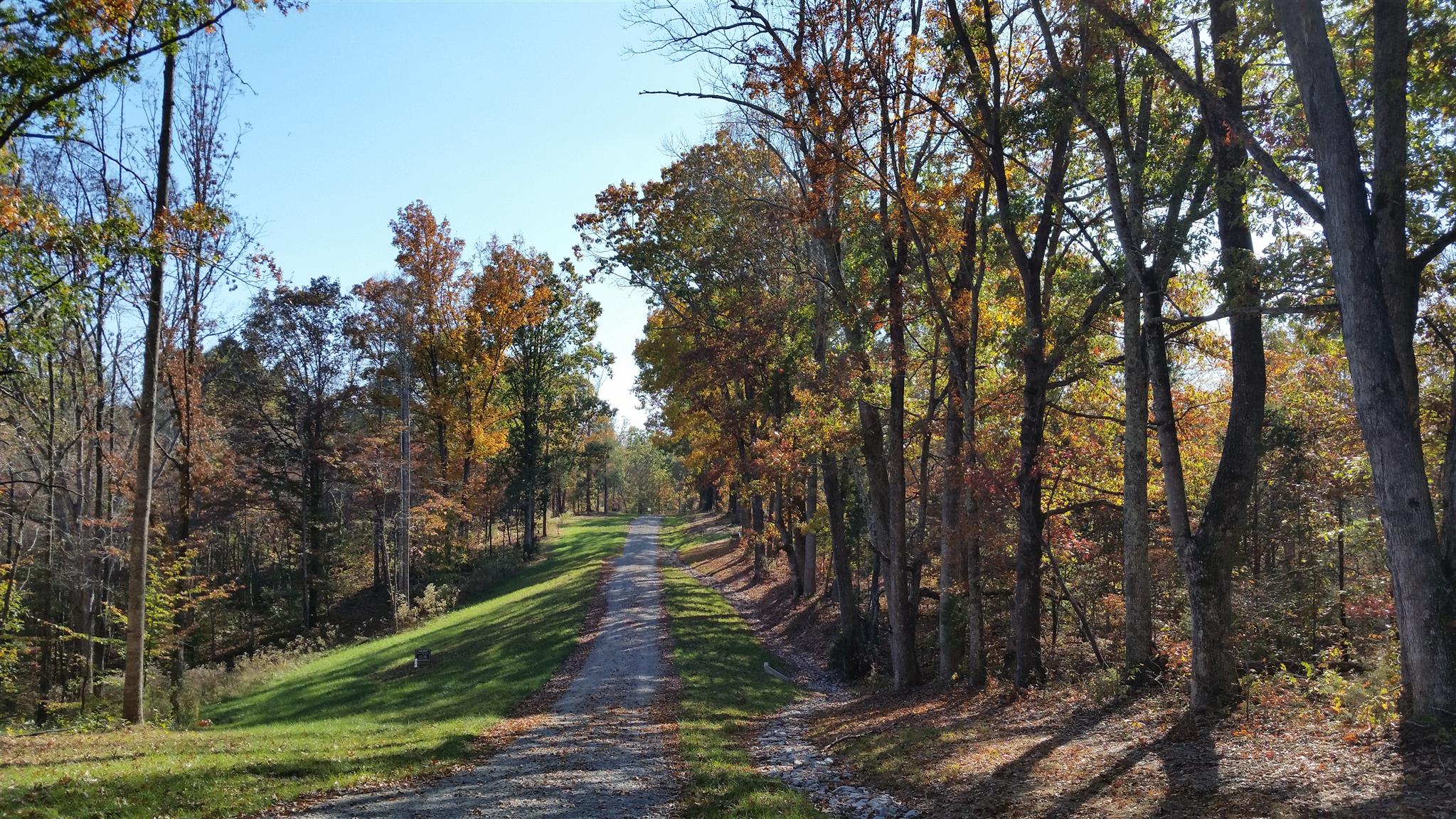 1 Rose Ridge Fairview, TN 37062 - Photo 5 of 8 a view of a forest with trees