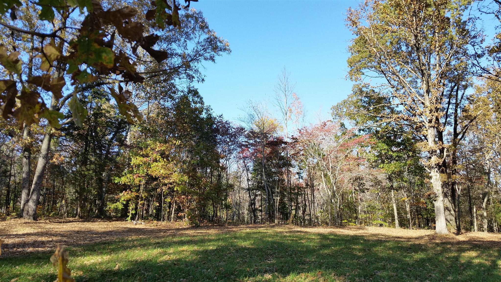 1 Rose Ridge Fairview, TN 37062 - Photo 7 of 8 a view of outdoor space