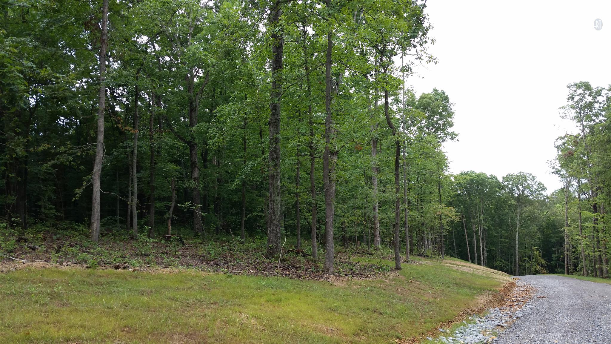 1 Rose Ridge Fairview, TN 37062 - Photo 8 of 8 a view of outdoor space with trees