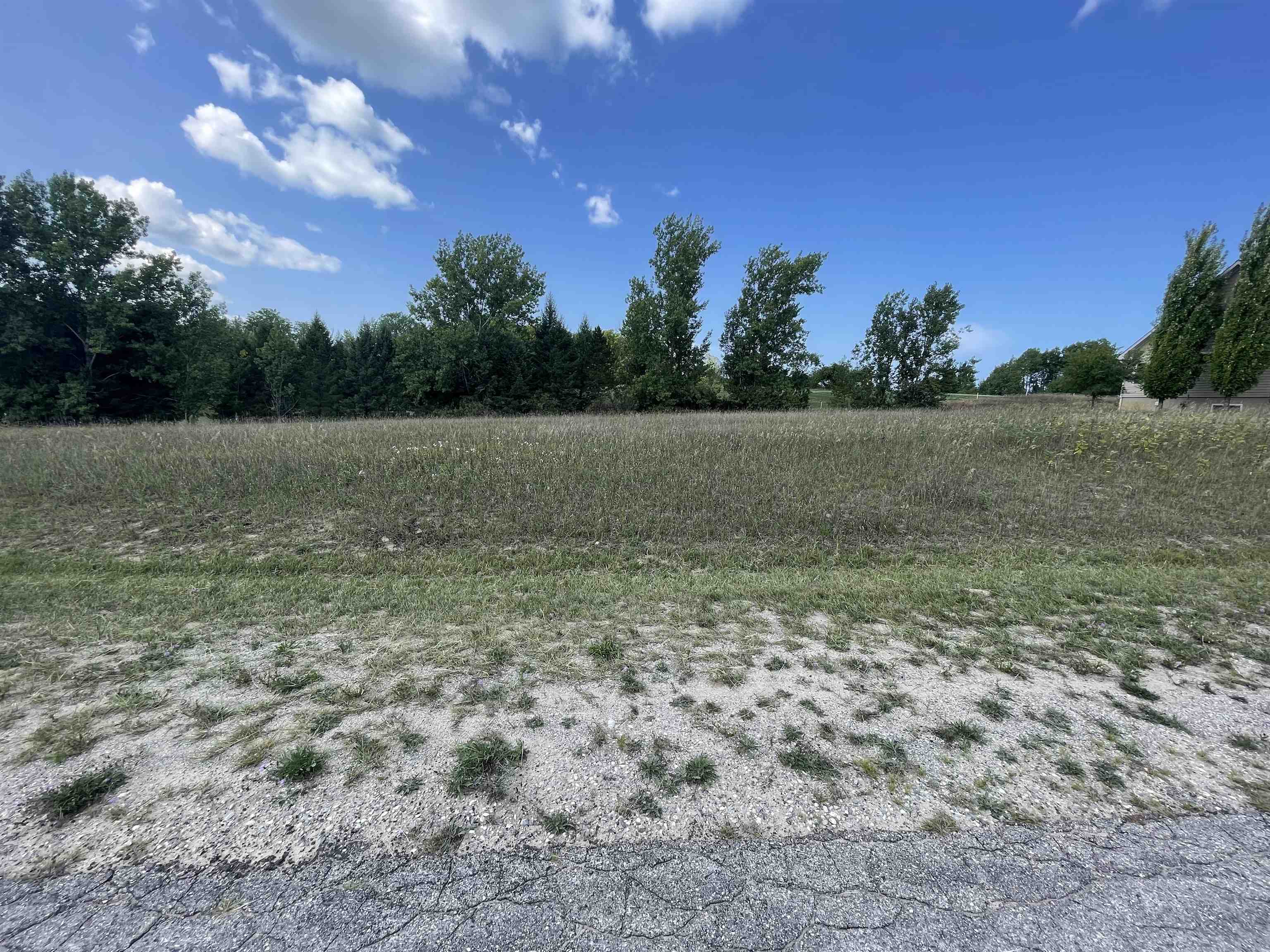 Lot 20 South Cedarview Cedar, MI 49621 - Photo 5 of 10 1915051-4.JPG