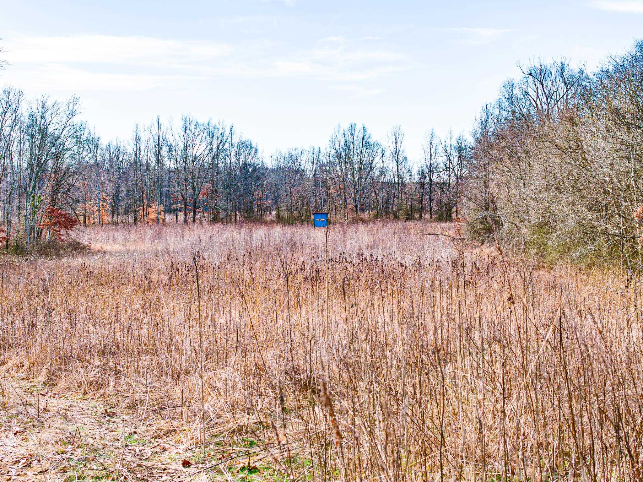 0 Puryear Road Cottage Grove, TN 38224 - Photo 6 of 40 View of nature