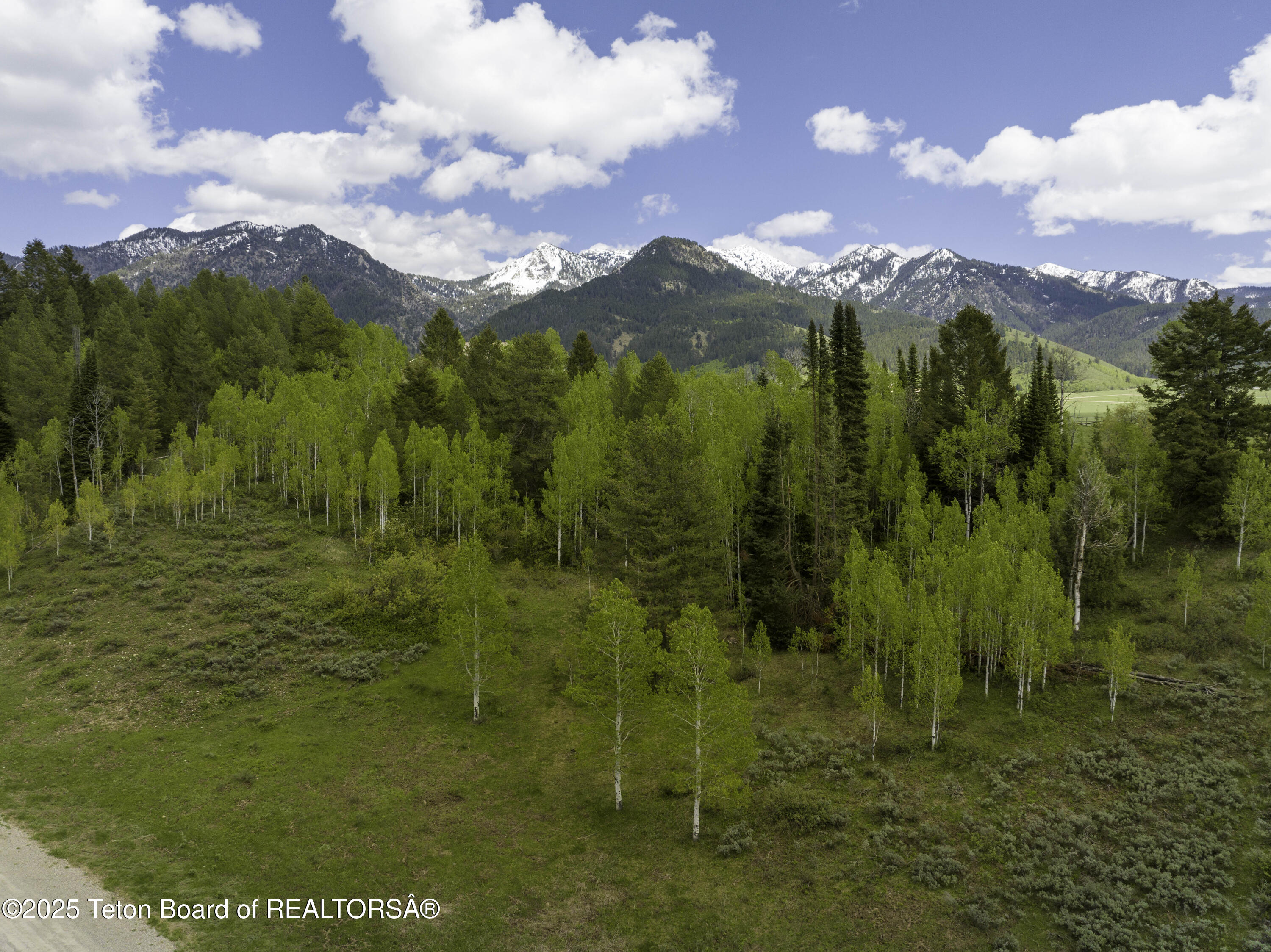 Lot 6 Mininger Road Alpine, WY 83128 - Photo 17 of 39 Web - Hidden Pines-11