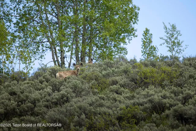 $450,000 | Lot 6 Mininger Road, Alpine, WY 83128